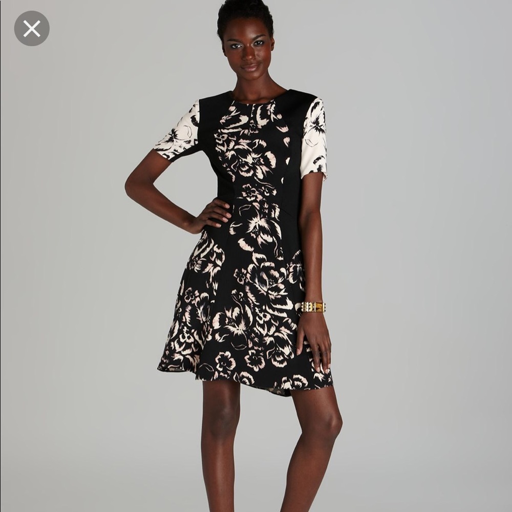 Rebecca Taylor Artisanal Dress size 2 NWT